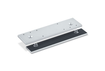 Mounting and counterplate for all-glass door